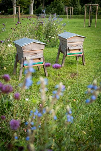 Ruches installées dans le jardin du restaurant La Table d’Elka, entourées de fleurs et d’herbes aromatiques.