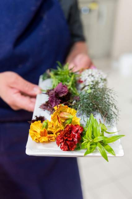 Assortiment d’herbes aromatiques et de fleurs comestibles fraîches présenté sur un plateau au restaurant La Table d’Elka.
