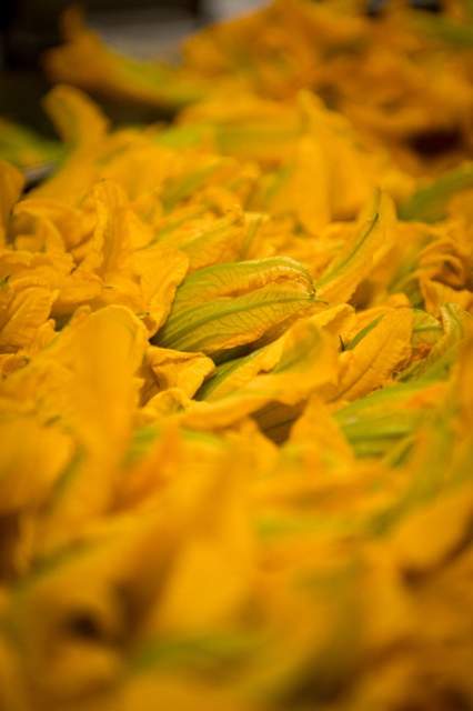 Gros plan sur des fleurs de courgette fraîches utilisées en cuisine au restaurant La Table d’Elka.